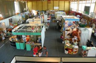 2011-06-11 Pünkösdi Vásár