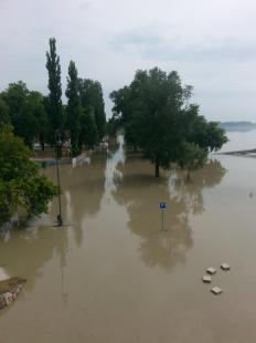 Fotó: Bejó