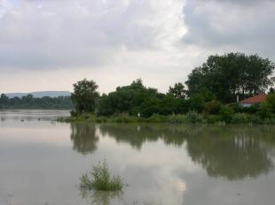 Fotó: Willant Zoltán / sturovo.com