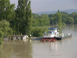 Fotó: Willant Zoltán / sturovo.com
