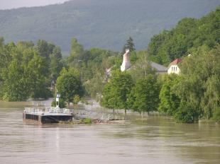 Fotó: Willant Zoltán / sturovo.com