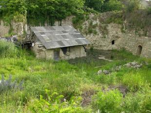Fotó: Willant Zoltán / sturovo.com