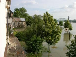 Fotó: Willant Zoltán / sturovo.com
