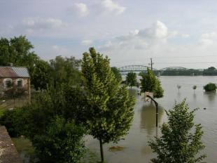 Fotó: Willant Zoltán / sturovo.com