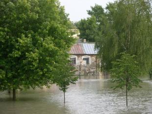 Fotó: Willant Zoltán / sturovo.com