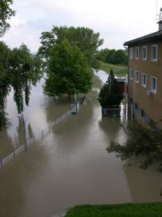 Fotó: Willant Zoltán / sturovo.com