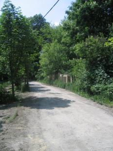 Gesztenye fasor a Zeneiskolánál