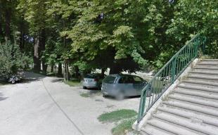 Gesztenye fasor a 