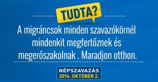ne menj el szavazni