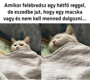 Hétfő.jpeg